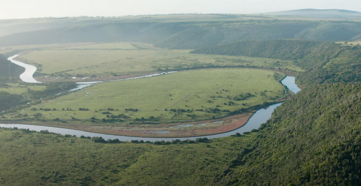 Kariega Foundation Logo